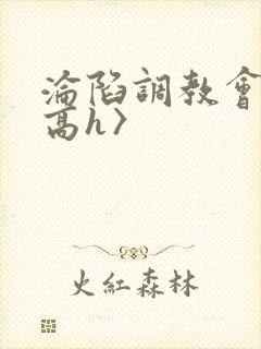 沦陷调教会所〈高h〉