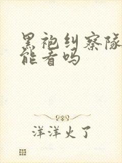 黑袍纠察队国内能看吗