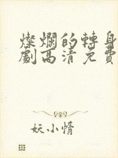 灿烂的转身电视剧高清免费观看封面