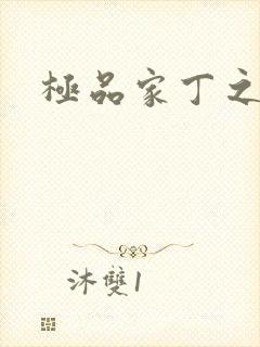 极品家丁之欢喜