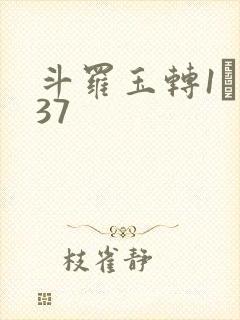 斗罗玉转1――37