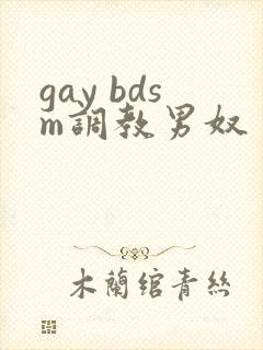 gay bdsm调教男奴封面
