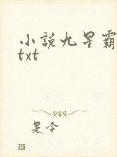 小说九星霸体诀txt