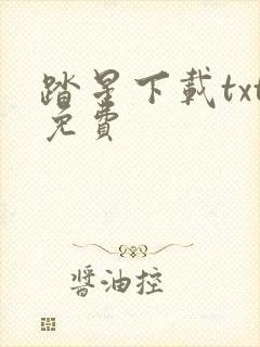 踏星下载txt免费封面