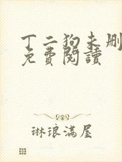 丁二狗未删减版免费阅读封面