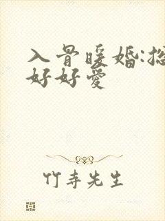 入骨暖婚:总裁好好爱