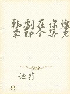 韩剧在你灿烂的季节全集免费观看