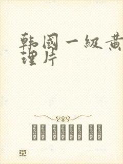 韩国一级黄色伦理片