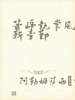 萧峥执掌风云最新章节