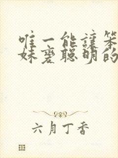 唯一能让笨蛋妹妹变聪明的方法免费观看全集封面