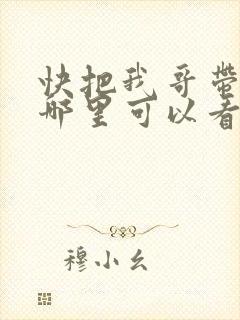 快把我哥带走在哪里可以看封面