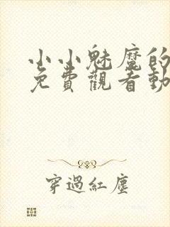 小小魅魔的仆人免费观看动漫版全集