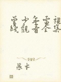 曾少年电视剧在线观看全集免费播放封面