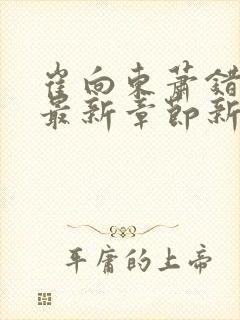 崔向东萧错小说最新章节新笔趣阁