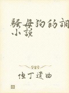 骚母狗的调教h小说