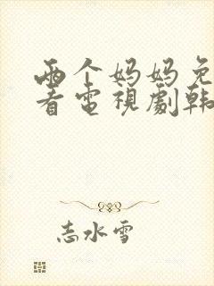 两个妈妈免费观看电视剧韩剧全集