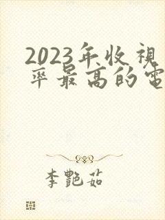 2023年收视率最高的电视剧排行榜