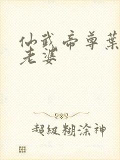 仙武帝尊叶辰的老婆