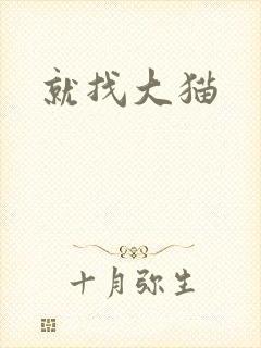 就找大猫