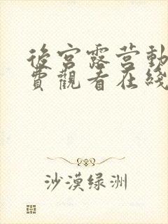 后宫露营动漫免费观看在线