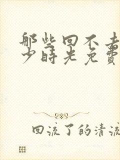 那些回不去的年少时光免费阅读全文