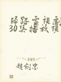 归路电视剧全集30集播放视频