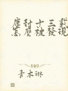 尘封十三载凶手怎么被发现的封面