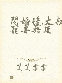 闪婚后,大叔他宠妻无度