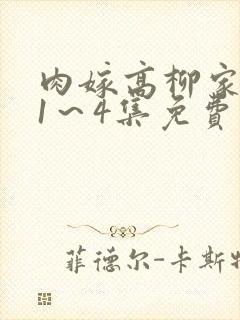 肉嫁高柳家动漫1～4集免费观看第一集