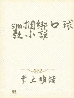sm捆绑口球调教小说封面