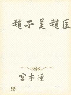 赵子美赵匡胤封面