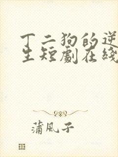 丁二狗的逆袭人生短剧在线观看