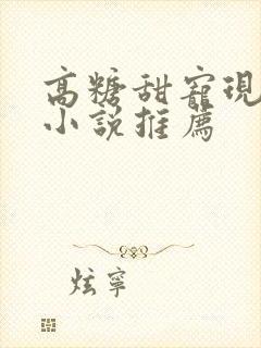 高糖甜宠现代文小说推荐