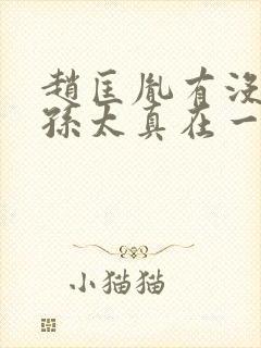 赵匡胤有没有和孙太真在一起过