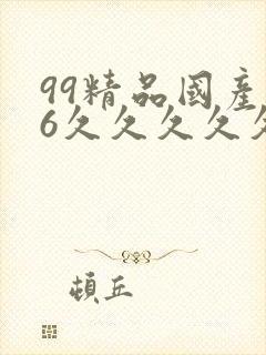 99精品国产96久久久久久