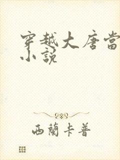 穿越大唐当闲王小说