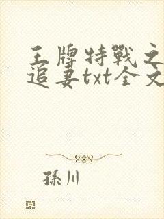 王牌特战之权少追妻txt全文下载
