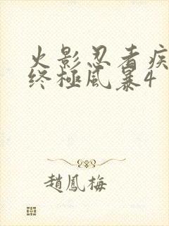 火影忍者疾风传终极风暴4