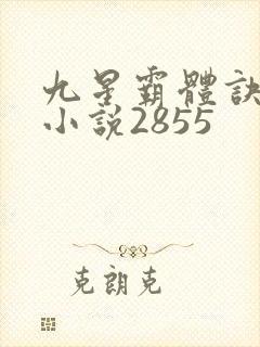 九星霸体诀有声小说2855封面