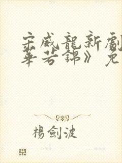 宋威龙新剧《韶华若锦》免费观看全集