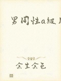 男同性a级片