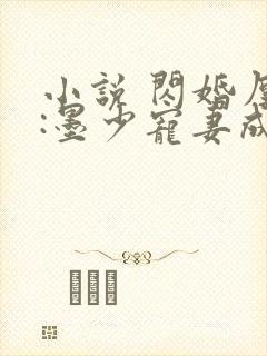 小说 闪婚厚爱:墨少宠妻成瘾封面