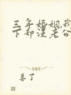 三年婚姻,我名下却没老公短剧免费试看