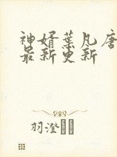 神婿叶凡唐若雪最新更新