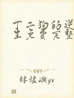 丁二狗的逆袭人生免费完整版