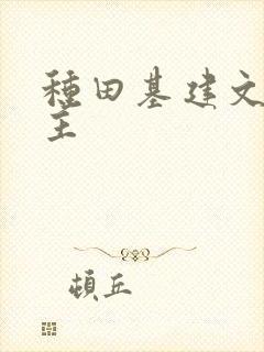 种田基建文双男主