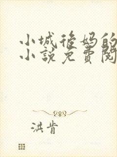 小城后妈的春天小说免费阅读封面