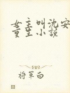 女主叫沈安宁的重生小说