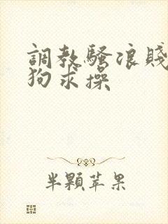 调教骚浪贱货母狗求操封面