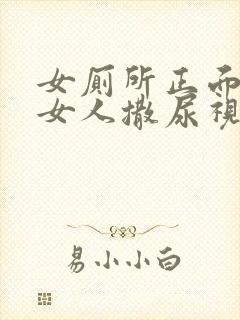 女厕所正面偷拍女人撒尿视频